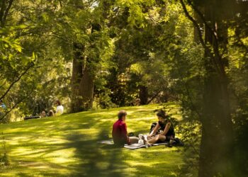 Un corso sulla natura e sul verde urbano