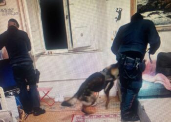 23 e 32anni spacciavano droga in un appartamento sul lungomare