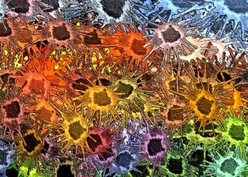 Istituto Comprensivo Mazzini, venerdì 17 marzo la presentazione del video street art