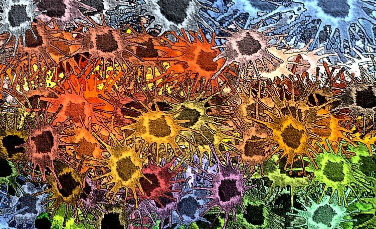 Istituto Comprensivo Mazzini, venerdì 17 marzo la presentazione del video street art