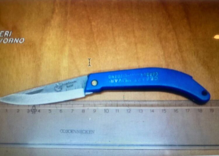 Coltello a serramanico