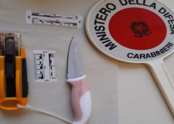 Coltello da cucina e cutter