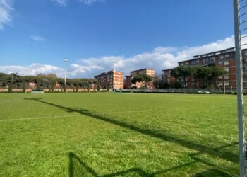 quercia franco mazzantini