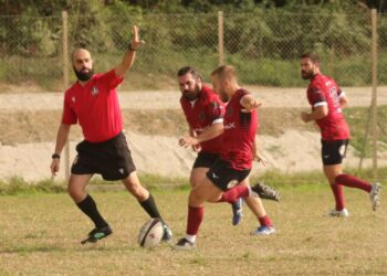 Lundax Lions Amaranto