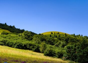 Mappa dei Monti Livornesi, le iniziative di aprile e maggio
