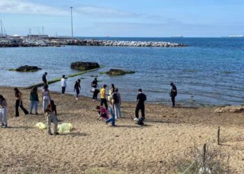 Pulizia spiagge