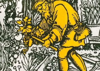 Erboristerie Benetti