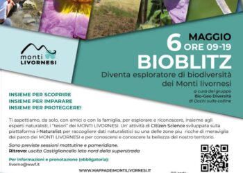 Bioblitz