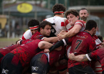 LundaX Lions Amaranto