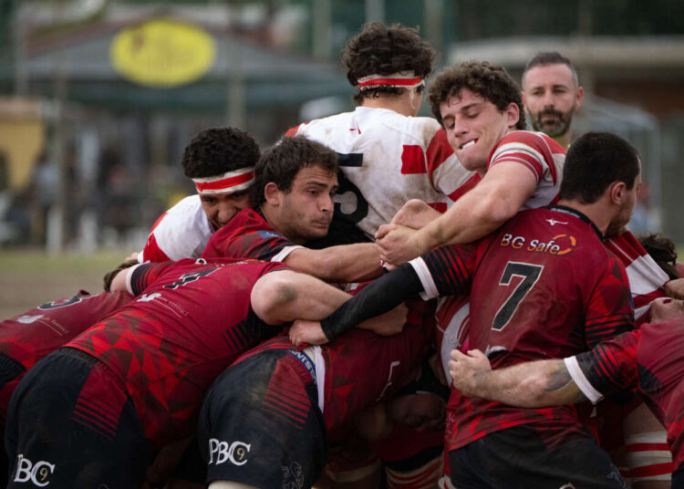 LundaX Lions Amaranto