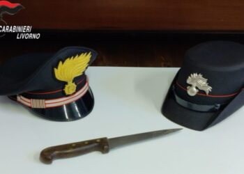 Coltello