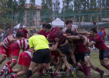 Lundax Lions Amaranto