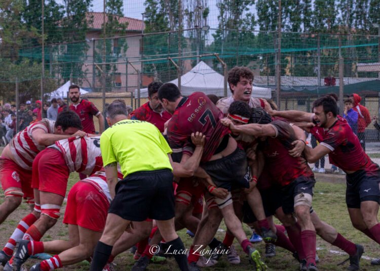 Lundax Lions Amaranto