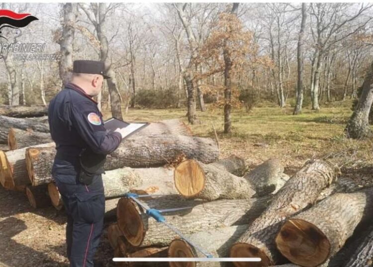 Carabinieri forestali