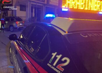 Alla guida con documenti salsi