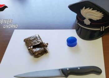 Droga in casa di due lavoratori stagionali