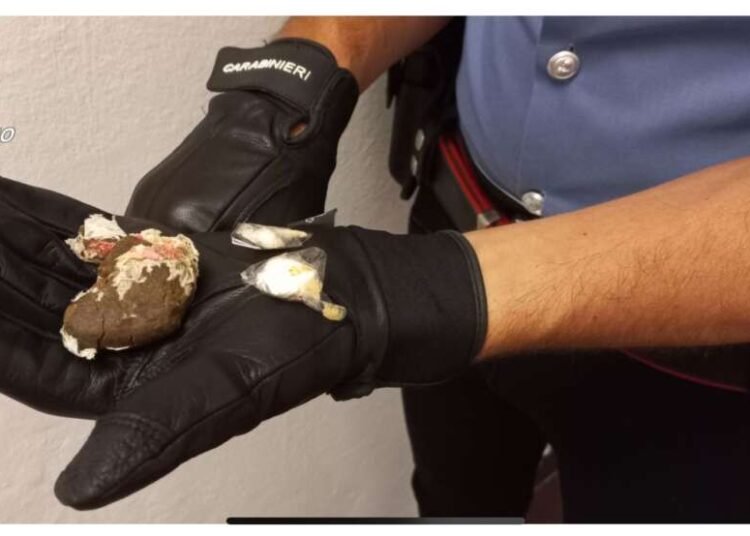 Aggredisce e provoca lesioni ai Carabinieri