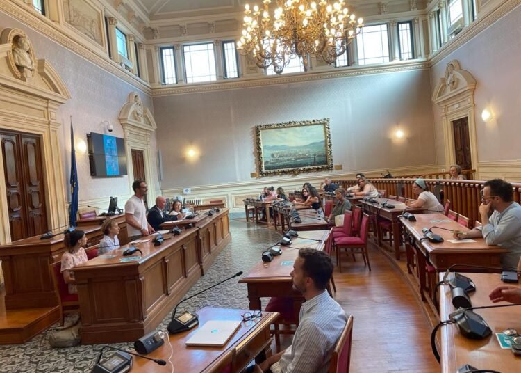 Operatori di strada 2.0