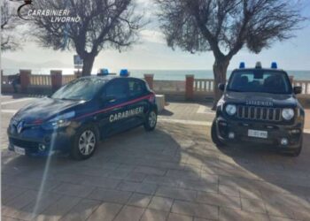 Evade dai domiciliari