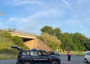 Controlli dei Carabinieri