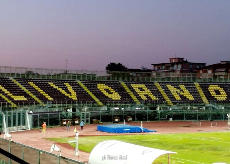Stadio Armando Picchi