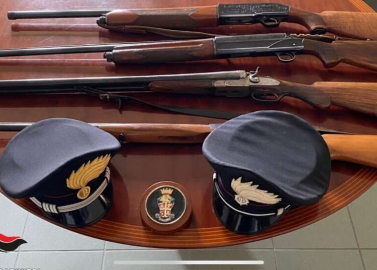 Omessa denuncia di custodia