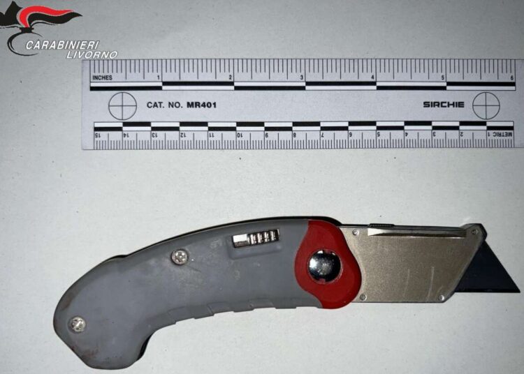 Rissa con accoltellamento