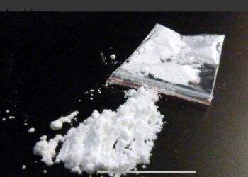 Dalla Spagna al Porto di Livorno: 4 persone imputate per l’associazione dedita al traffico internazionale di sostanze stupefacenti