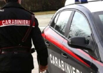 Aggredisce autista del bus