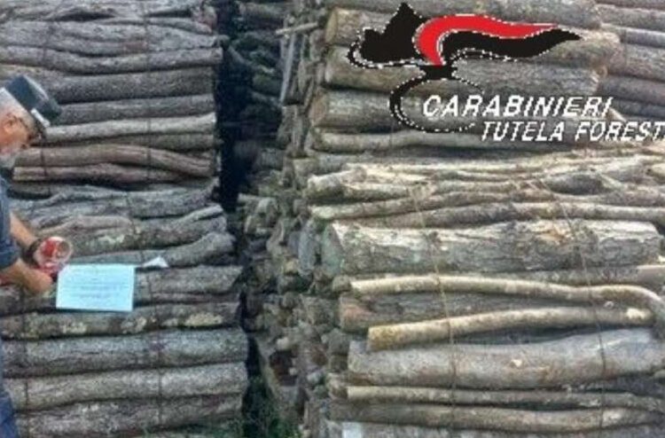 Imprenditore denunciato per aver sottratto materiale sequestrato