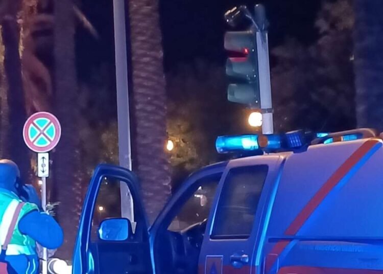 Forte vento: albero caduto, chiuso al traffico Viale Italia