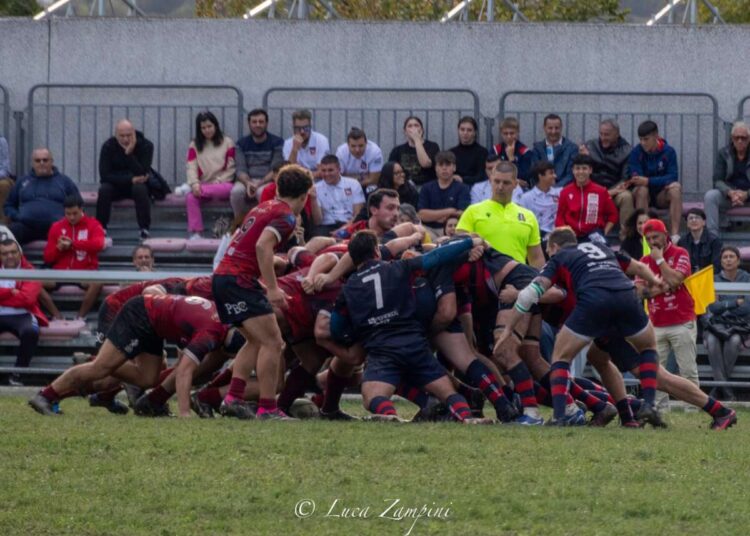 Lundax Lions Amaranto