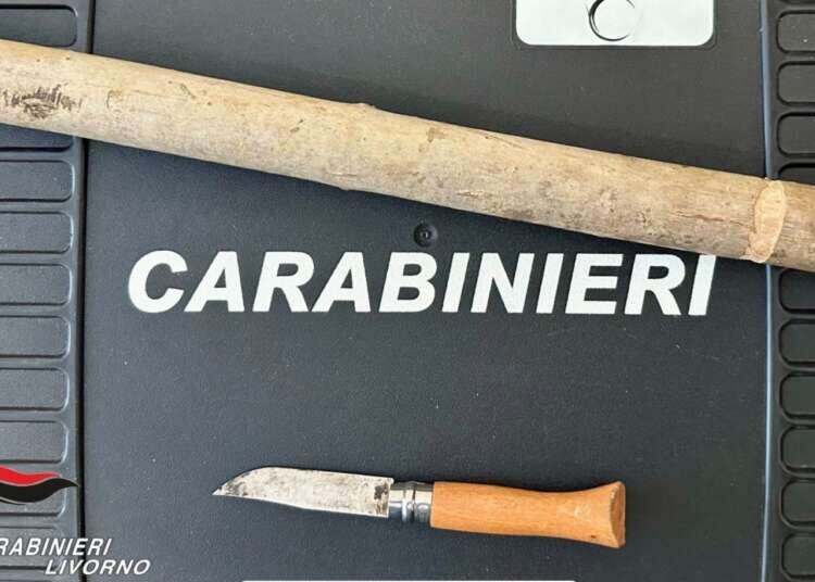 Coltello e bastone in auto