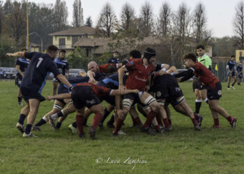 LundaX Lions Amaranto