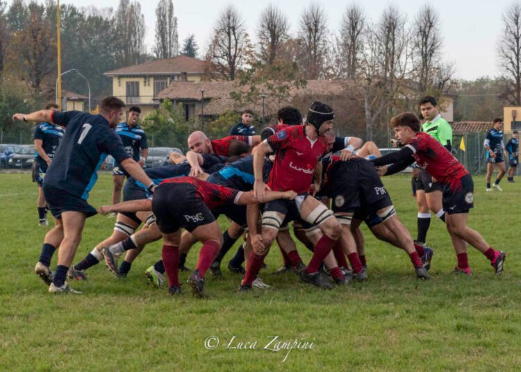 LundaX Lions Amaranto