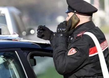 Via Accademia Labronica