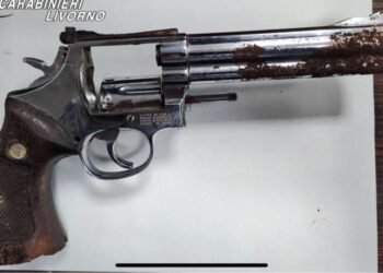 Pistla rinvenuta nel bosco