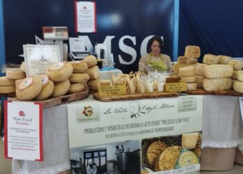 Oggi, domenica 12 novembre continua l’appuntamento con un Mare di Vino 2023