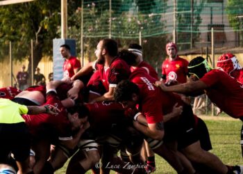 Lundax Lions Amaranto