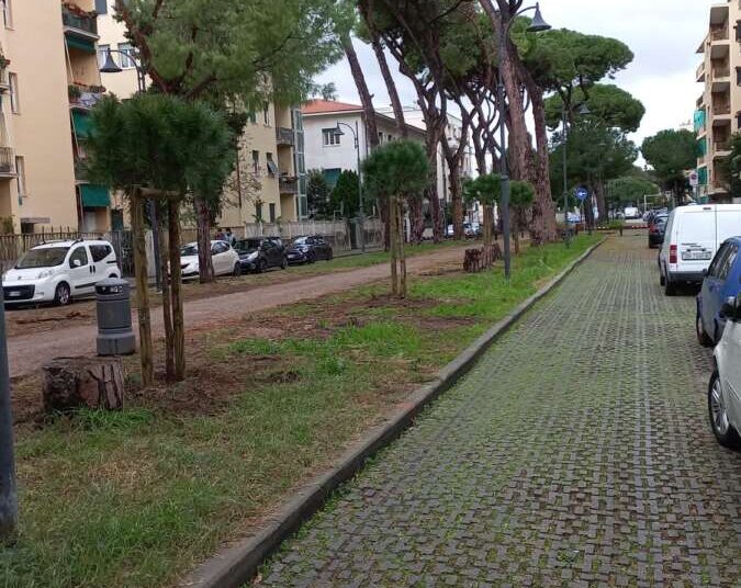 Viale dei Pini