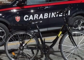 Bicicletta elettrica rubata