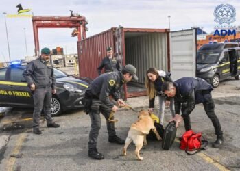 Sequestro di cocaina