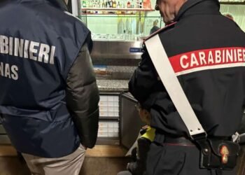 Chiuse 13 attività commerciali per pessime condizioni igienico-sanitarie nel 2023