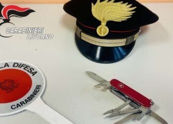 Ferisce il personale dela sicurezza con un coltello