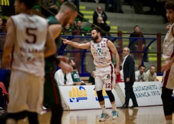 Akern Libertas solida: piegata Omegna 80-70