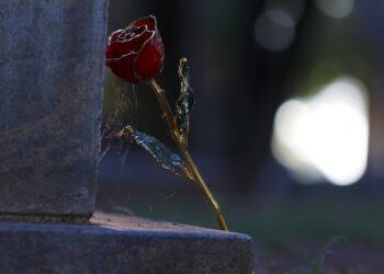 Giorno della memoria