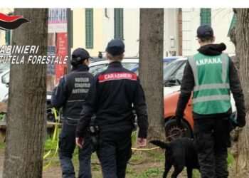 Carabinieri della forestale