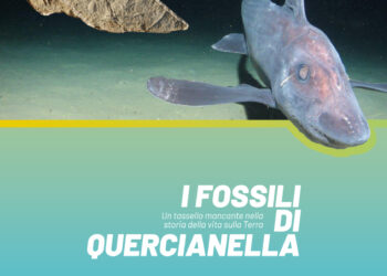 Tracce fossili a Quercianella