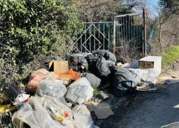 Abbandono di rifiuti