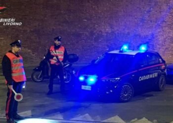 Evade dai domiciliari